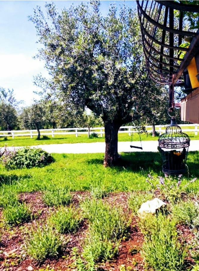 Apartments Relax Zone Umag Exterior foto
